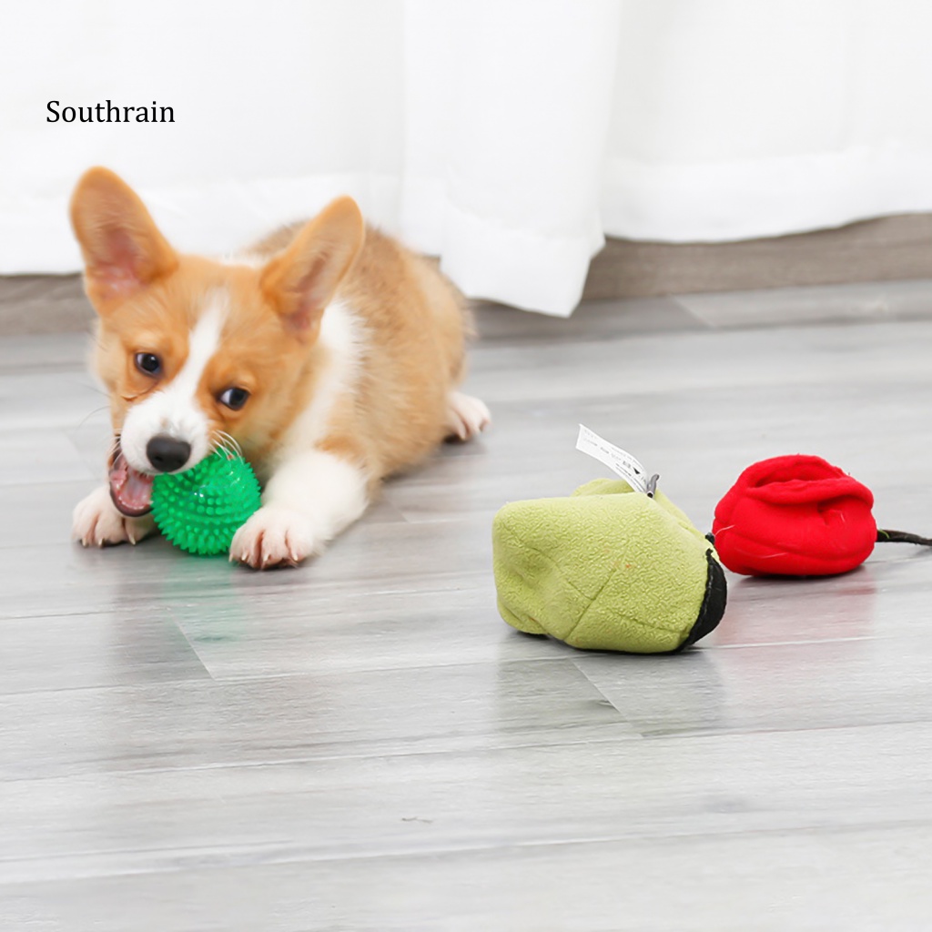 Đồ Chơi Huấn Luyện Thú Cưng Hình Quả Lê Có Âm Thanh Vui Nhộn