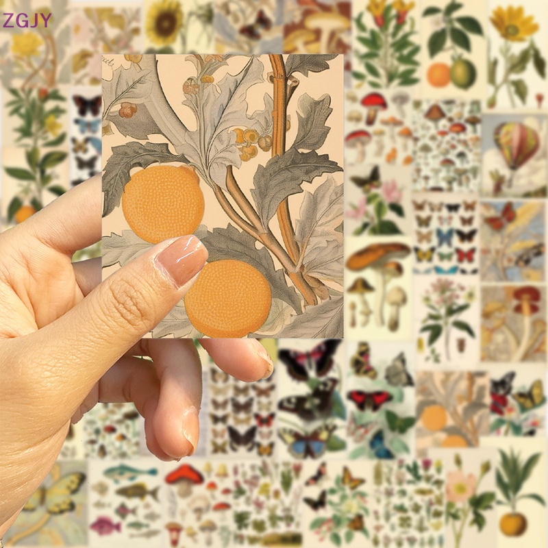 Bộ 50 Miếng Dán Trang Trí Laptop Họa Tiết Trái Cây Graffiti Đơn Giản Kiểu Retro Mới