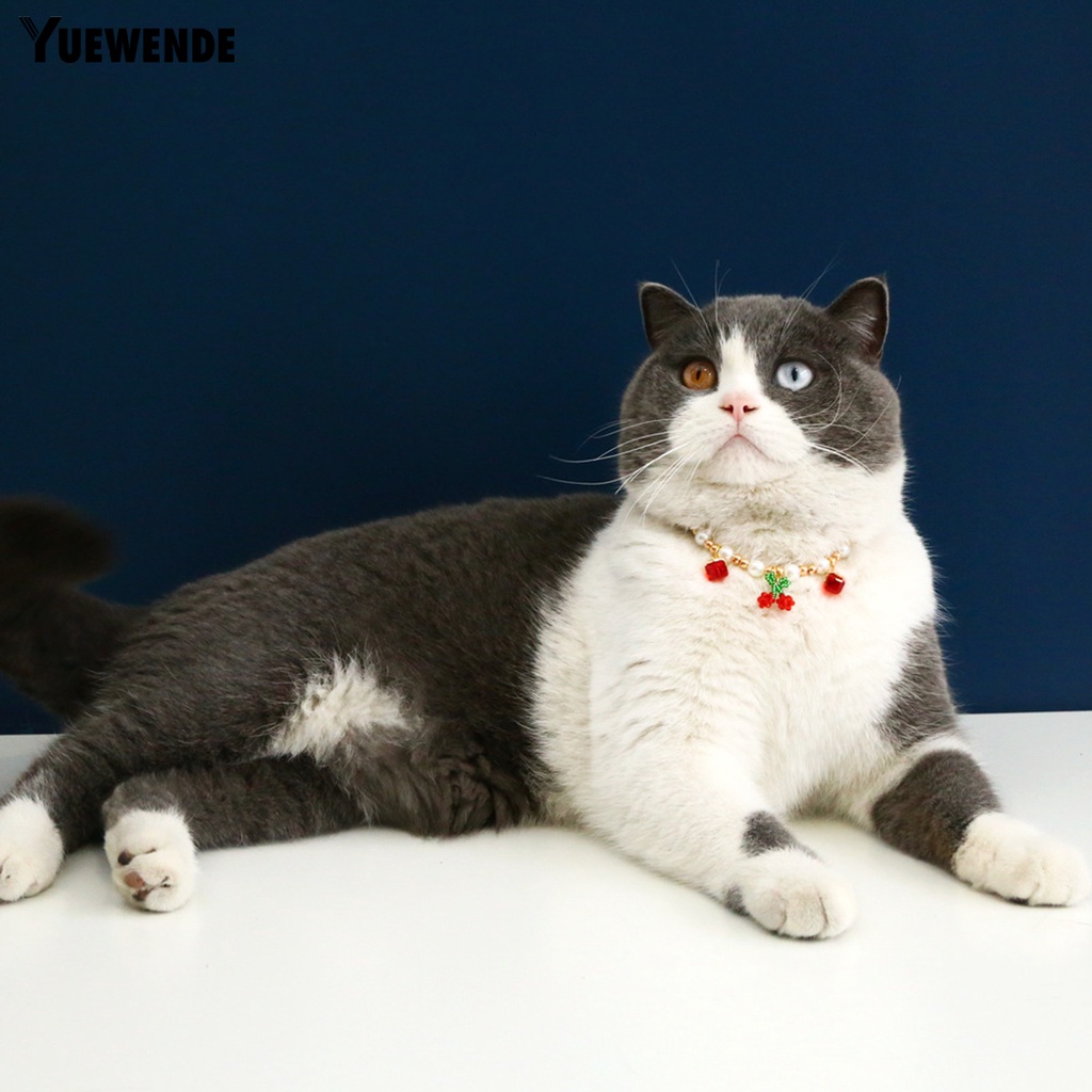 Vòng Cổ Đính Ngọc Trai Nhân Tạo Thời Trang Dành Cho Thú Cưng