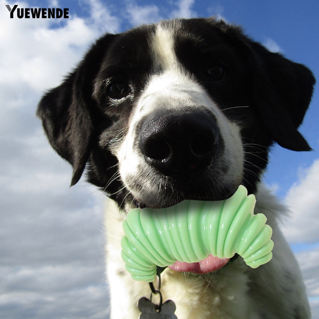 Đồ Chơi Mài Răng Linh Hoạt Bảo Vệ Thoải Mái Cho Thú Cưng