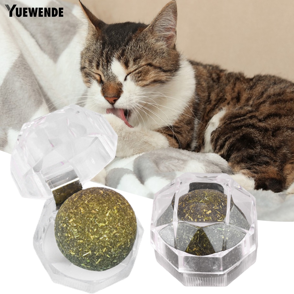 1 Bộ Bóng Đồ Chơi Bằng Chất Liệu Tự Nhiên Chống Cắn Kèm Hộp Đựng Cho Mèo Cưng