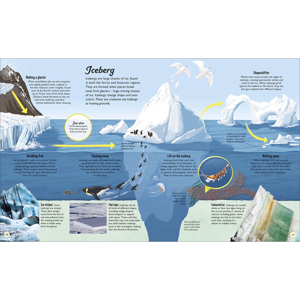Life Cycles: Everything From Start To Finish