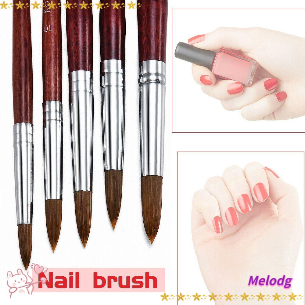 Cọ Vẽ Trang Trí Móng Tay Nghệ Thuật Acrylic Với Tay Cầm Bằng Gỗ Thời Trang Dễ Sử Dụng