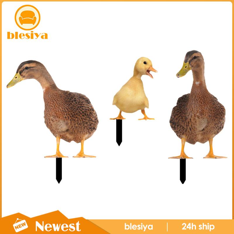 [Blesiya] Bộ 3 Bức Tượng Vịt Trang Trí Lối Đi Sân Vườn