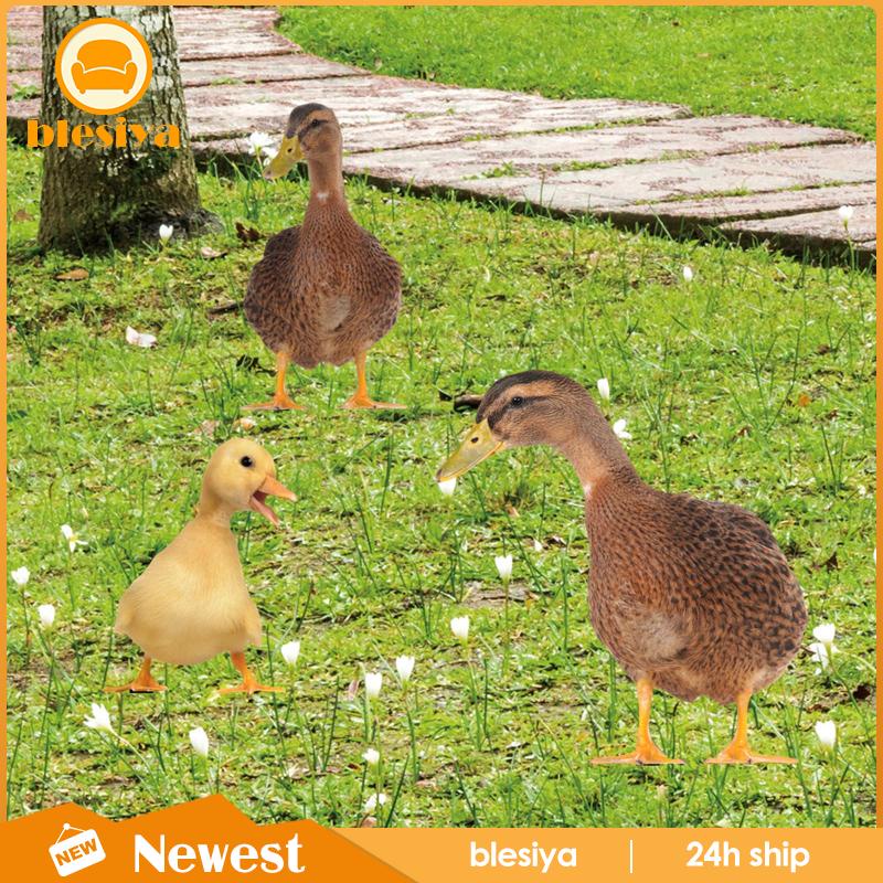 [Blesiya] Bộ 3 Bức Tượng Vịt Trang Trí Lối Đi Sân Vườn