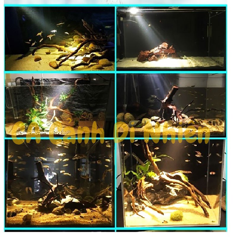 Đèn led thủy sinh BIOTOP đổi màu 3 chế độ đèn rọi kẹp thành hồ cá SD-300 5W 7W 10W