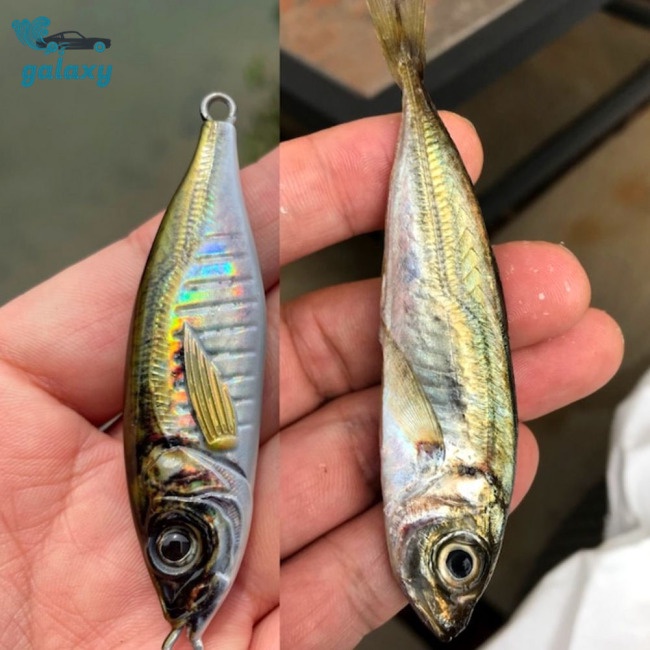 Galaxy Mồi Giả Câu Cá Hình Chữ S 60g 80g 3d