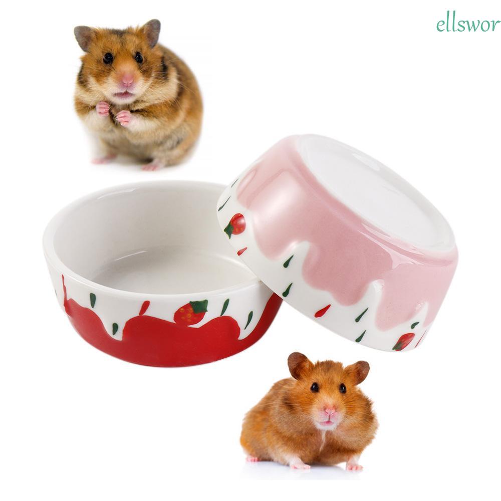 ELLSWORTH Bình Uống Nước Bằng Gốm Cho Chuột Hamster