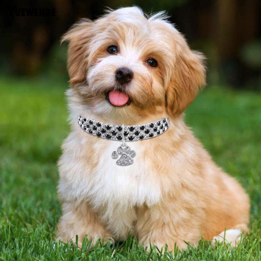 Vòng Cổ Chống Biến Dạng Không Phai Cho Thú Cưng