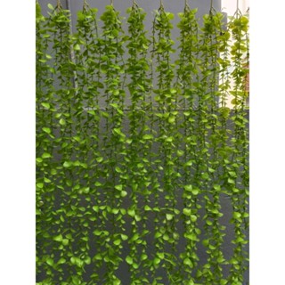 Dây leo giả lá to 5 nhánh, dây cúc tần VI133 ( dài 95cm), hoa giả trang trí