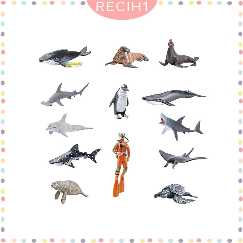 Set 13 Mô Hình Động Vật Dưới Biển Cho Bể Cá 5 6 7 8 Tuổi
