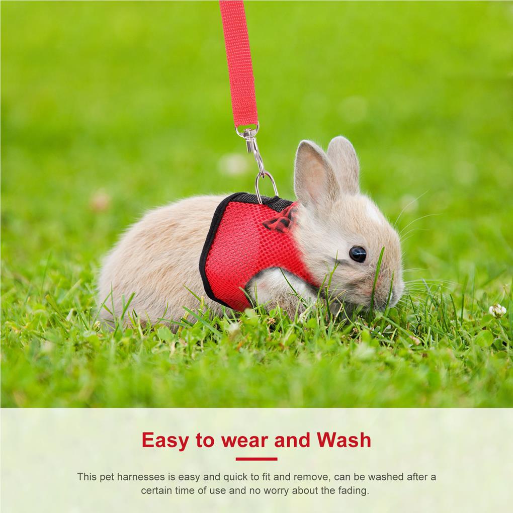 Áo Vest Kèm Dây Dắt Dắt Thú Cưng Đi Dạo Kiểu Đơn Giản Đa Năng Tiện Dụng