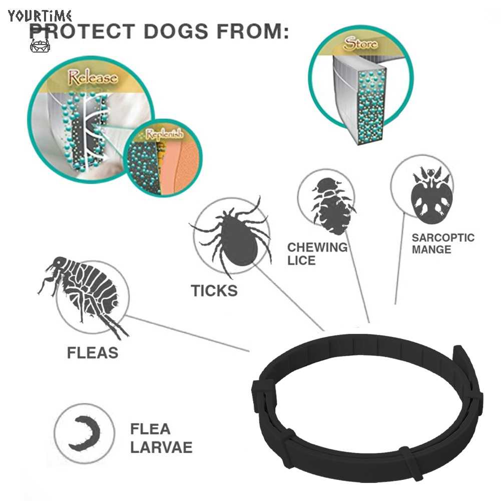 Vòng Cổ Silicone ChốNg ThấM NướC Cho Thú Cưng