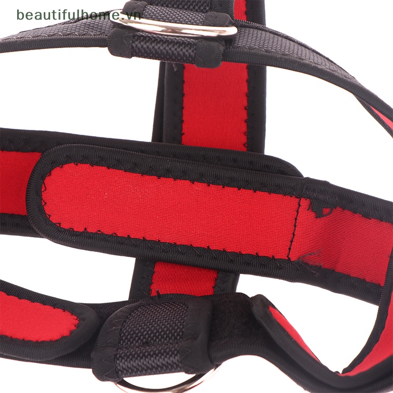 Dụng Cụ Luyện Tập Thể Hình Cho Cổ Chất Lượng Cao