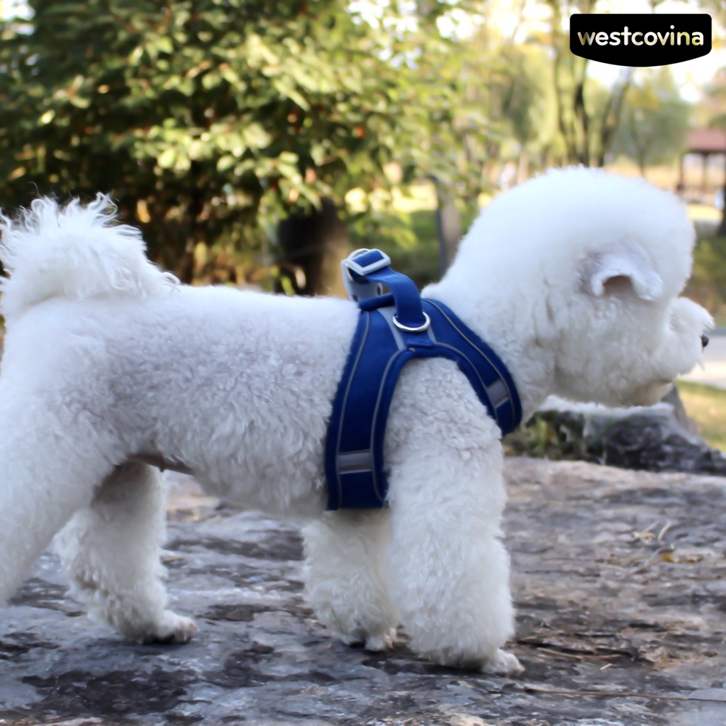 [COD]♞Dây Dắt Thú Cưng Đi Dạo Có Thể Điều Chỉnh Kích Thước Với Dải Phản Quang