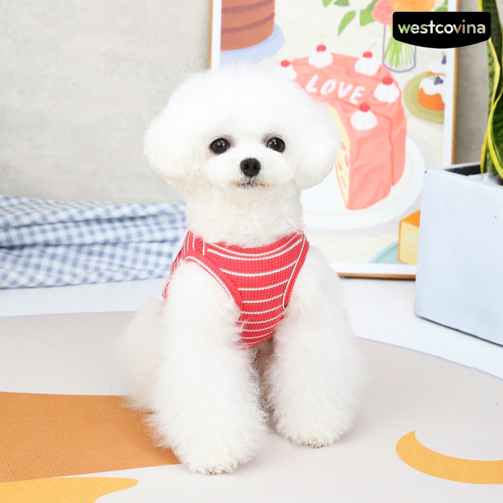 [COD]♞Áo Thun Cotton Thoáng Khí In Hình Gấu Dễ Thương Cho Thú Cưng