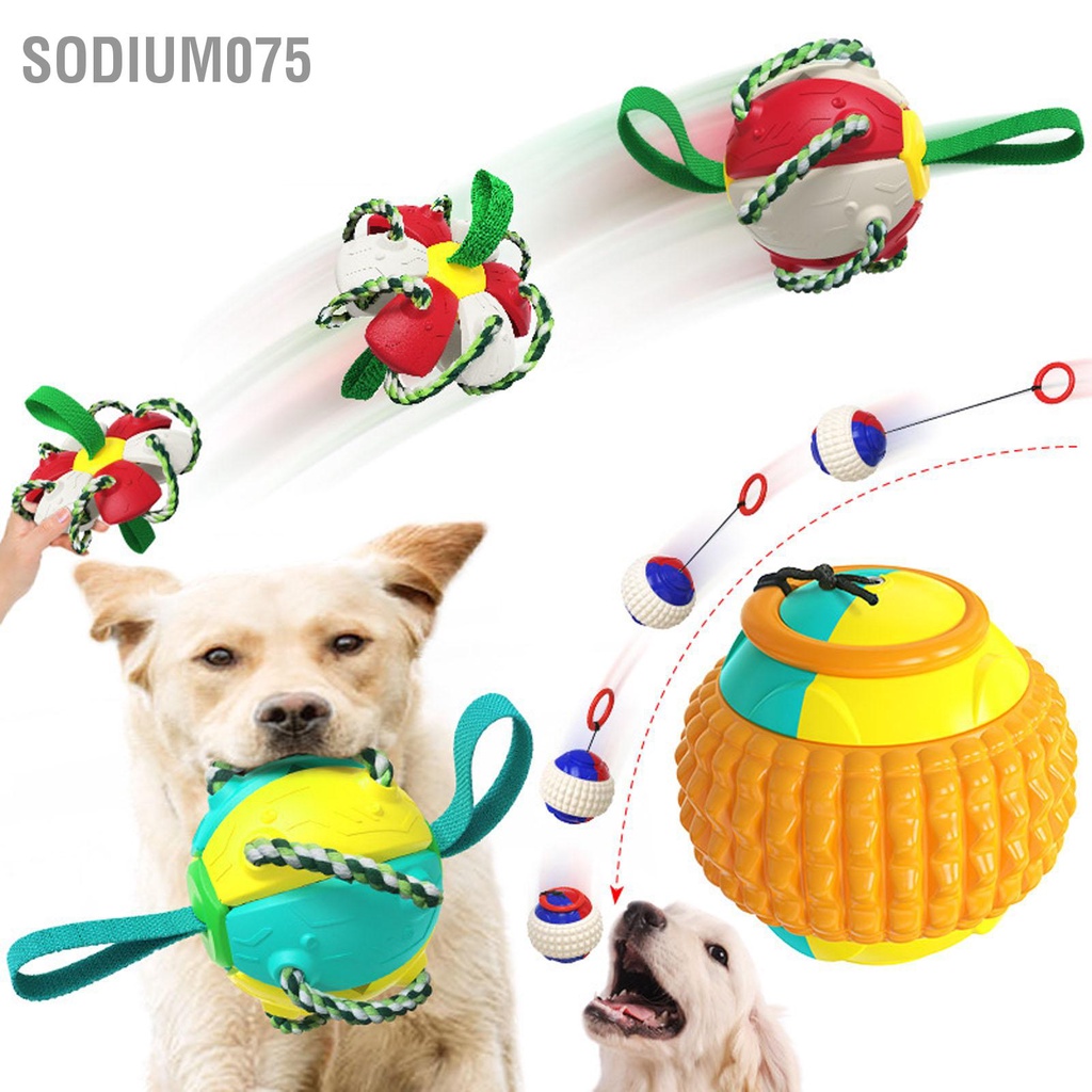 Sodium075 Bóng bay ngoài trời tương tác Quả bóng thú vị Đồ chơi đá cho chó có dây đai