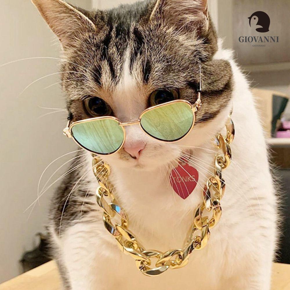 Vòng Cổ Thời Trang Không Phai Màu Cho Thú Cưng