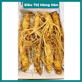 SÂM TƯƠI HÀN QUỐC 1/5;6;7;;9;10 củ