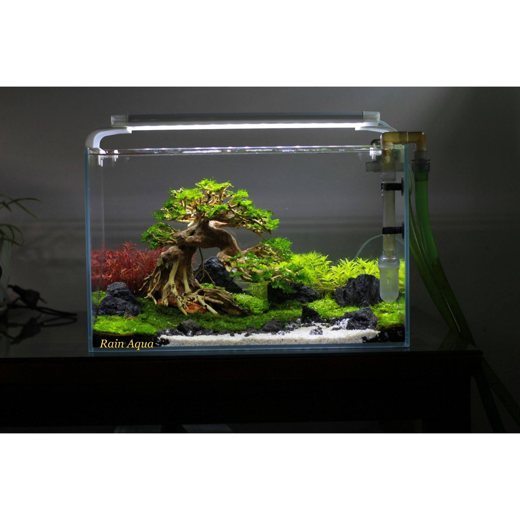 Cát Trắng Mịn. Trang Trí Bể Cá Cảnh - Bể Thủy Sinh.