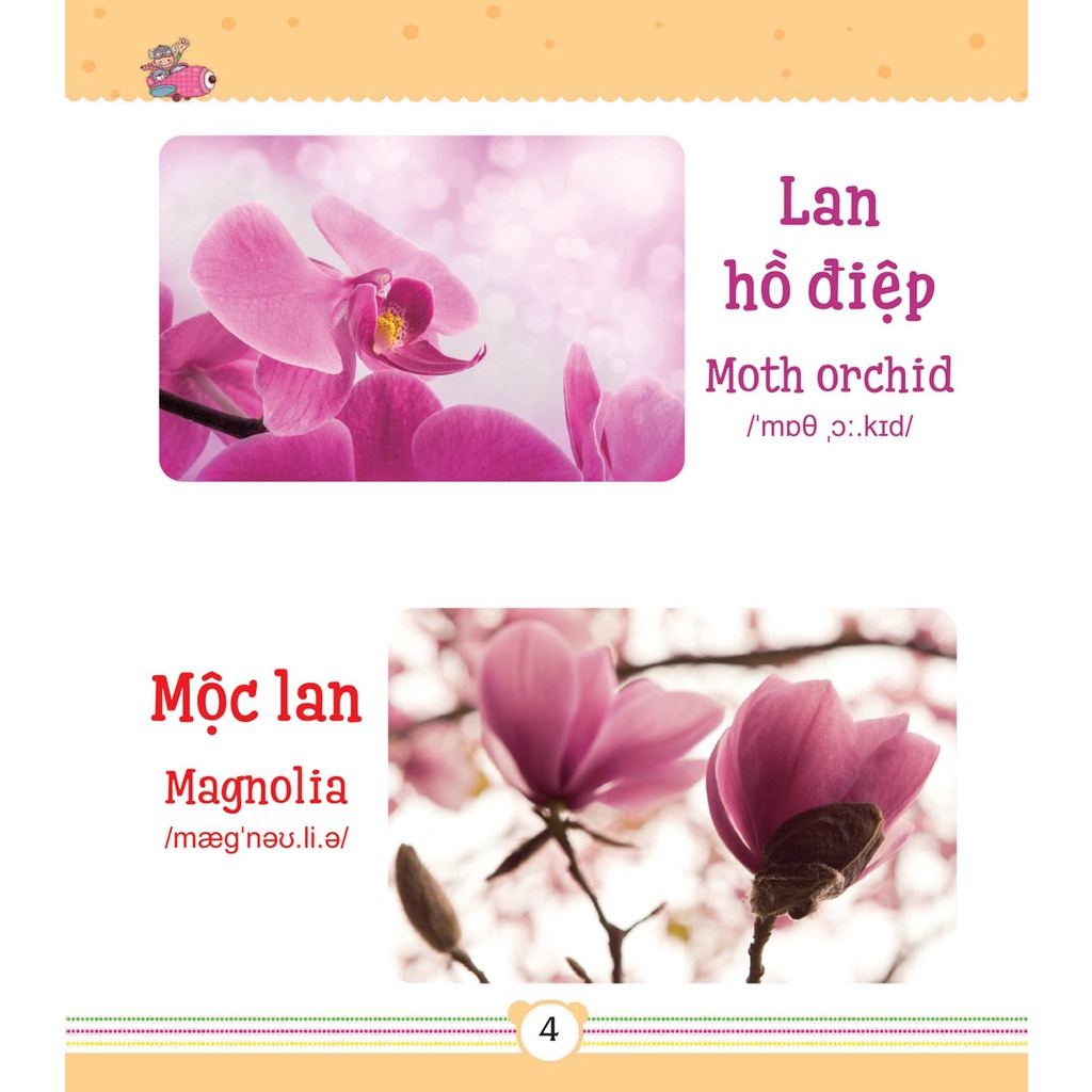 Sách – Từ Điển Bằng Tranh Dành Cho Trẻ Em - Các Loài Hoa (DTI)