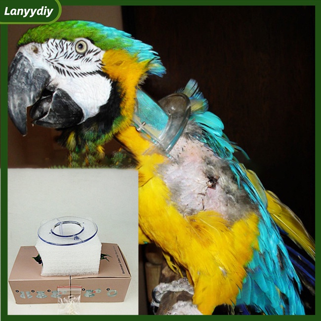 Vòng Đeo Cổ Lông Vũ Trong Suốt Chống Cắn Bảo Vệ Cho Chim Vẹt / Chuột Hamster