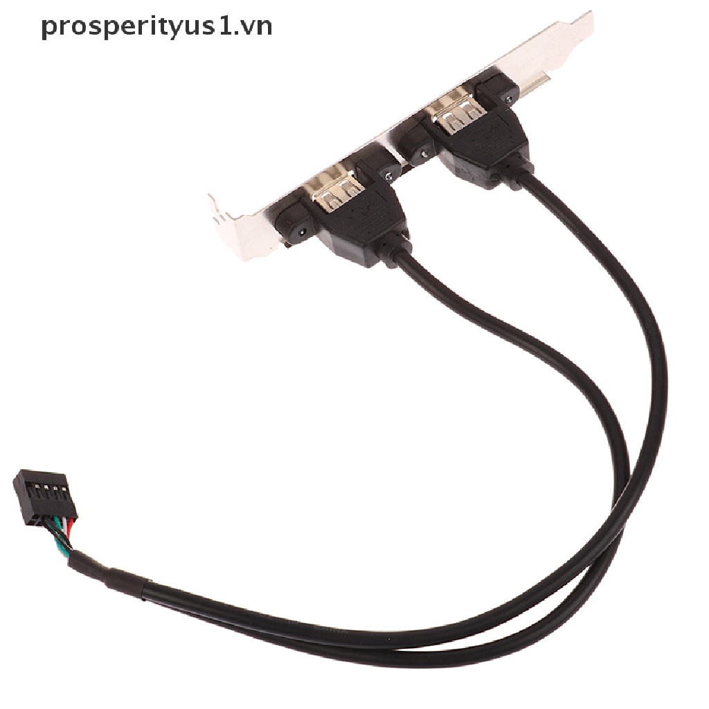 Bo Mạch Chủ prosperityus1 2 Cổng USB 2.0