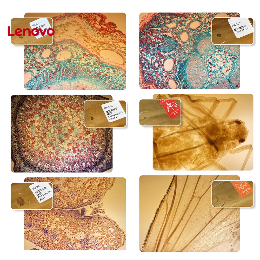 Kính Hiển Vi Phóng Đại 400X Chuyên Dụng Cho Điện Thoại / Máy Ảnh