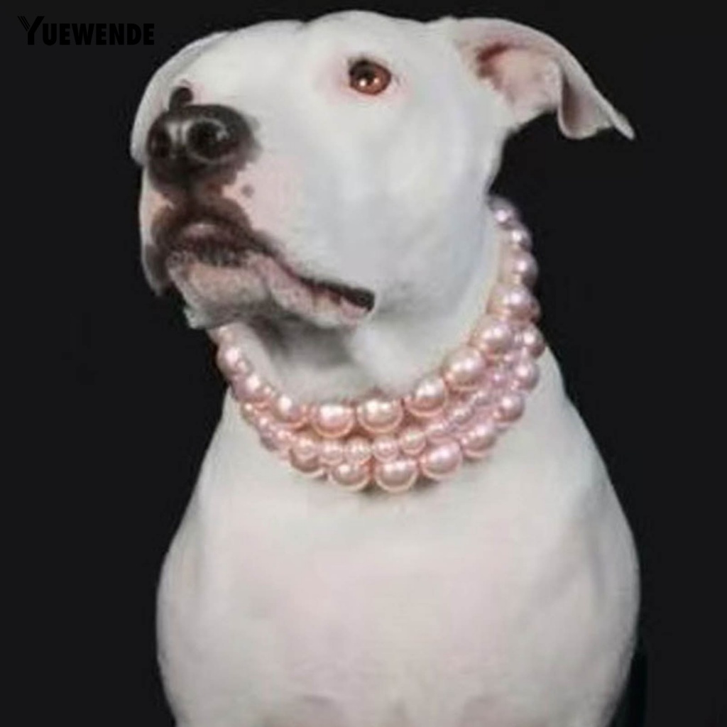 Vòng Cổ YE.B Bằng Nhựa Dễ Thương Cho Thú Cưng