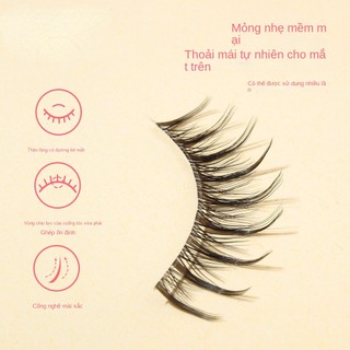Set 3 Cặp Lông Mi Giả Cong Tự Nhiên