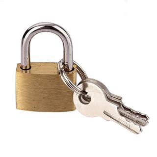 Small Copper Padlock Wolf Head Brass Lock Small Locks Door Locks With 3 Keys