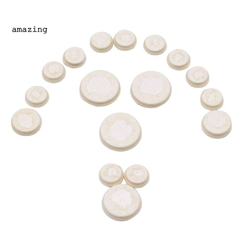 Set 17 Miếng Đệm Nỉ Lót Lỗ Âm Thanh Cho Kèn Clarinet