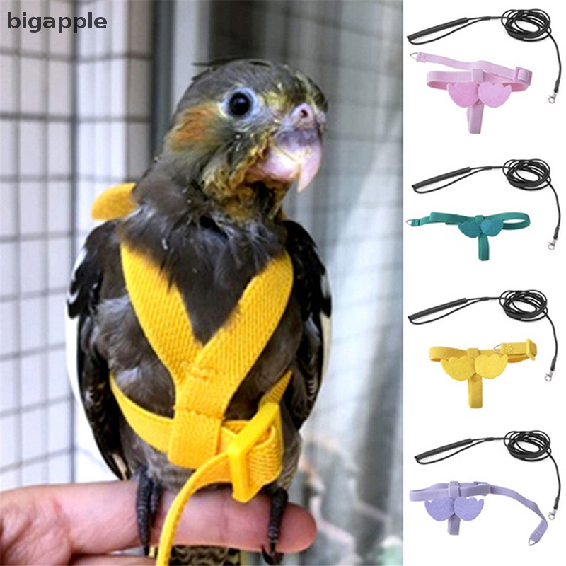 Dây Dắt Thú Cưng Đi Dạo Tiện Dụng Chất Lượng Cao