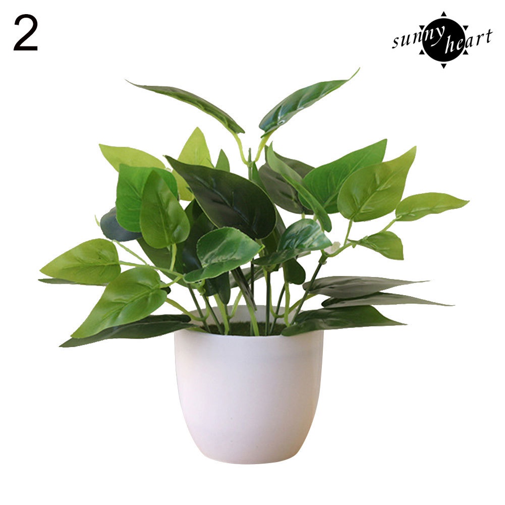 Chậu Cây Bonsai Bằng Nhựa Không Phai Đa Năng Trang Trí Nhà Cửa / Tiệc Cưới