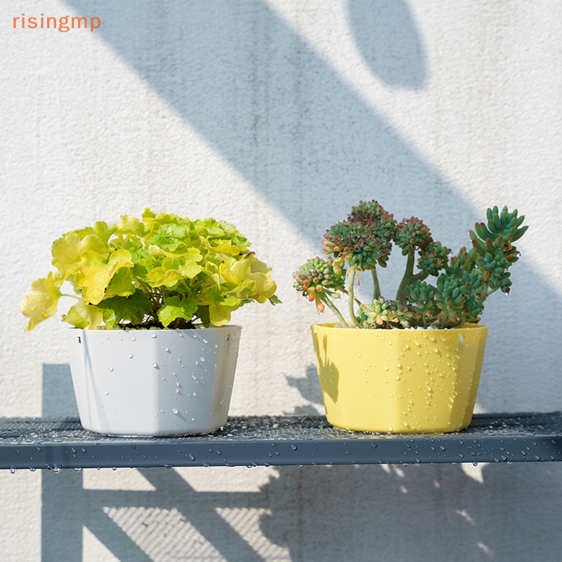 Chậu Trồng Cây Treo Tường Hình Hàng Rào Tròn Trang Trí Trong Nhà