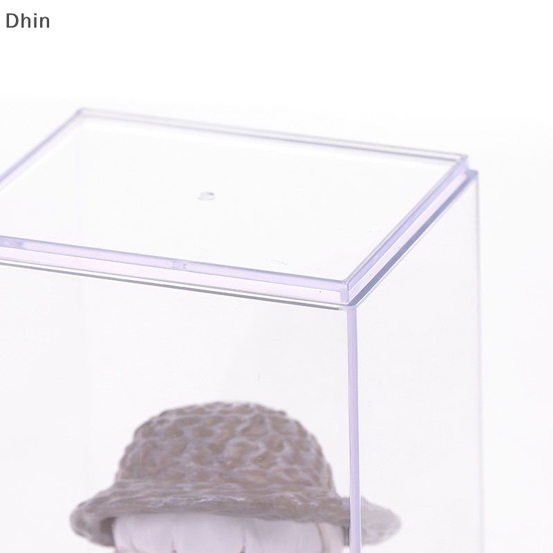 Hộp Trưng Bày Búp Bê Để Bàn Trong Suốt Chống Bụi