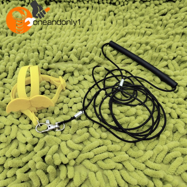 Dây Đai Dắt Chim Vẹt Đi Dạo Siêu Nhẹ Tùy Chỉnh Kèm Tay Cầm Thoải Mái Tiện Dụng