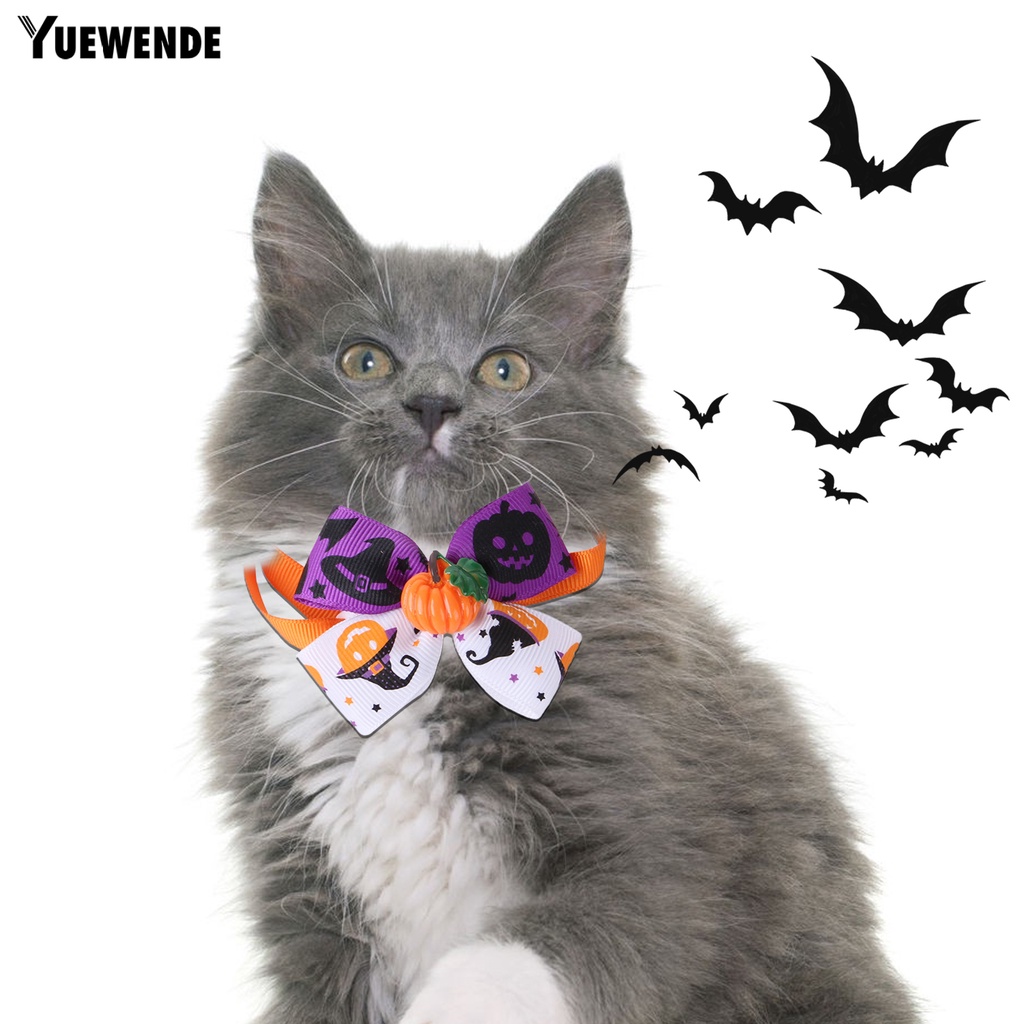 1 Bộ Áo Choàng Polyester Không Gây Kích Ứng Màu Sắc Tươi Sáng Kèm Kính Bảo Hộ Cho Thú Cưng