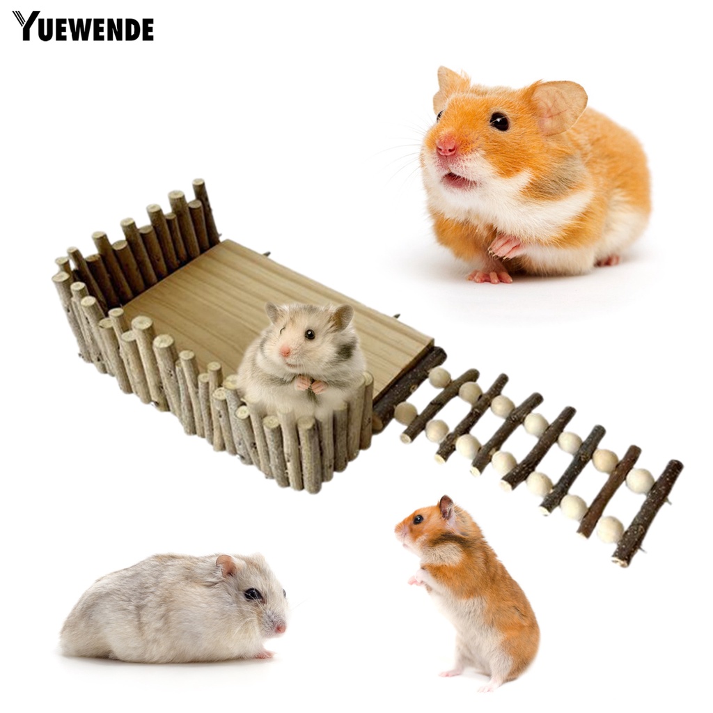 Yq.e Giá Đỡ Chuột Hamster Bằng Chất Liệu Tự Nhiên Màu Trơn Độ Ổn Định Cao Chống Mài Mòn