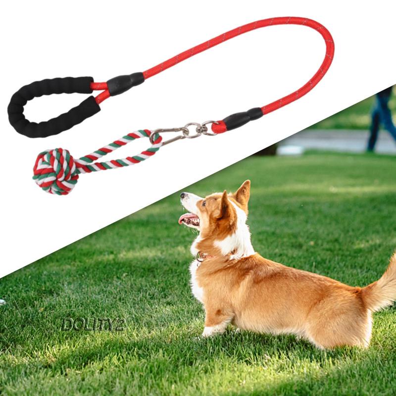 Đồ Chơi Huấn Luyện Tương Tác Thú Cưng Trong Nhà / Ngoài Trời 2