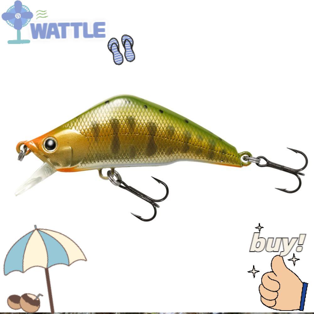 WTTLE Set 2 Mồi Giả Nhử Cá Bằng Nhựa Chất Lượng Cao