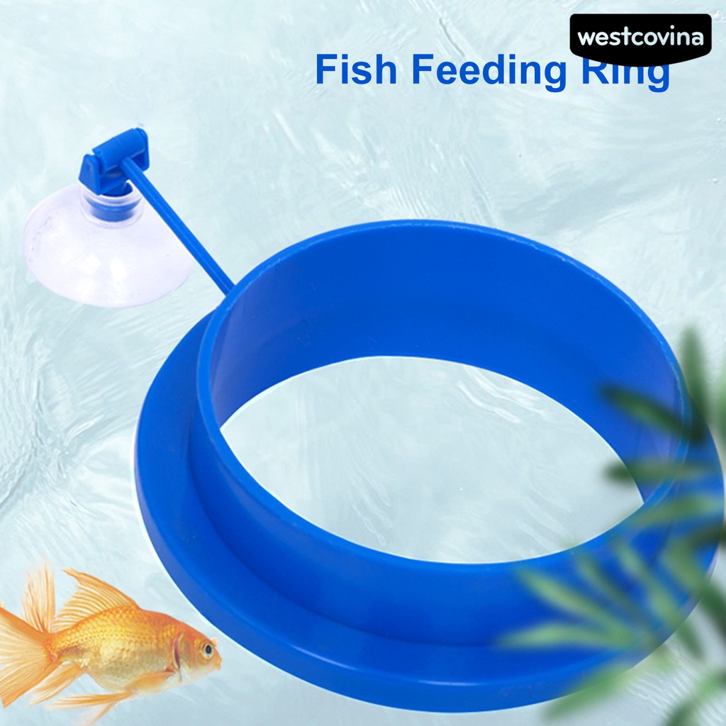 [COD]♞Dụng Cụ Cho Cá Ăn Ổn Định Dạng Nổi Trên Mặt Nước