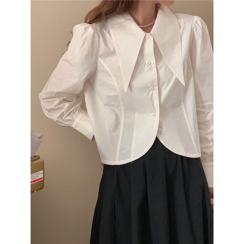 Áo Sơ Mi Dài Tay Màu Sắc Đơn Giản 3 Màu Lựa Chọn