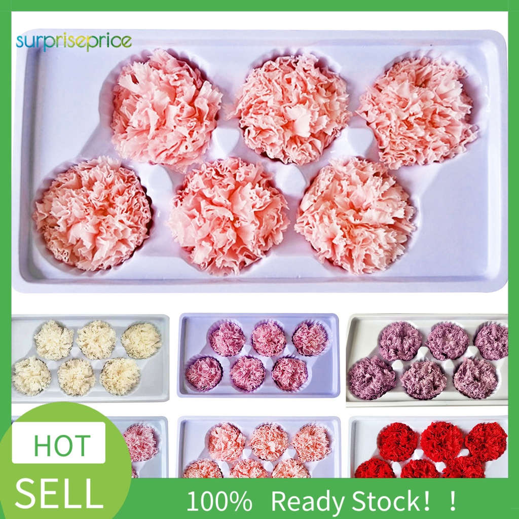 Hộp 6 Bông Hoa Khô Dùng Để Trang Trí Tiệc Lễ Tạ Ơn