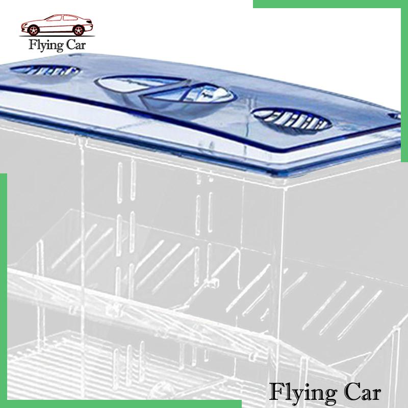 Hộp Nuôi Cá Dễ Sử Dụng Cho Văn Phòng Guppy Betta