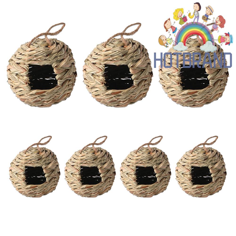 Tổ Chim Bằng Cỏ Tự Nhiên Dùng Trang Trí