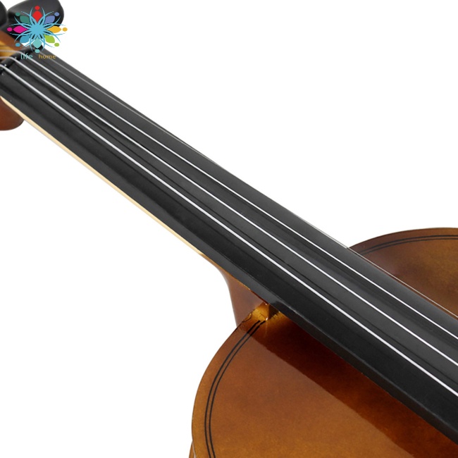 Đàn Violin Bằng Gỗ Trơn Kèm Hộp Đựng Dành Cho Người Mới Bắt Đầu