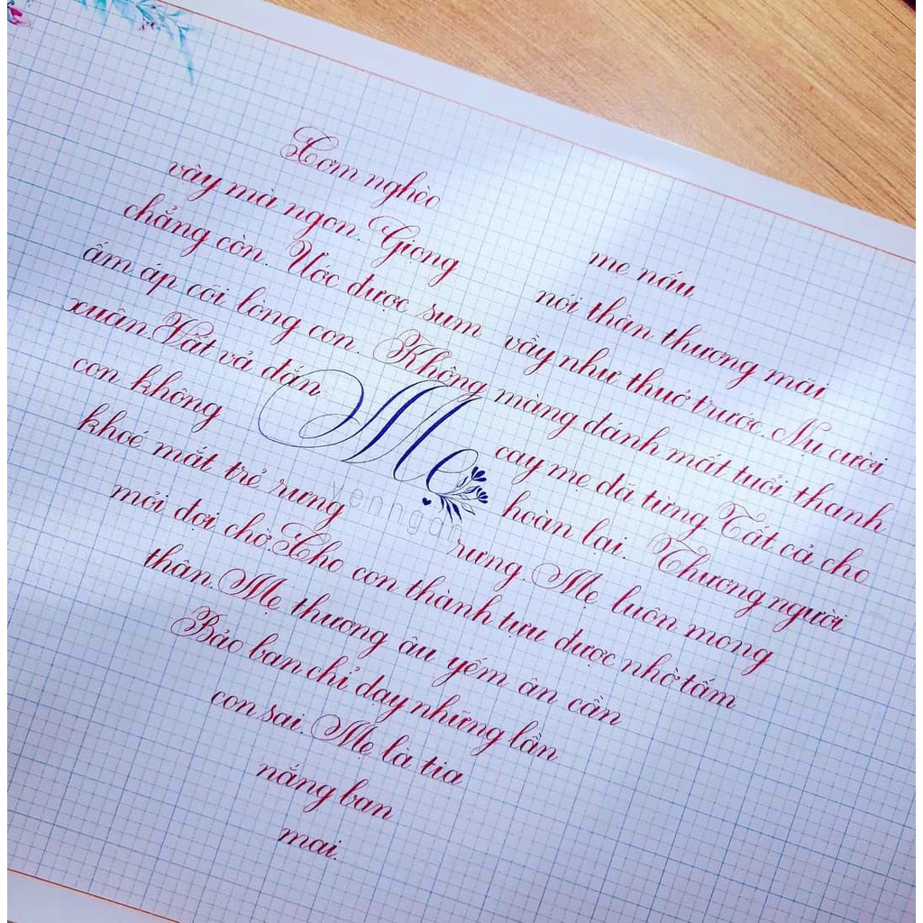 Bút Máy Luyện Chữ Đẹp T09, Bút Máy C009 Thanh Đậm, Ngòi Kim Tinh, Bình Mực Lớn