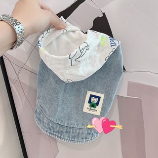 Quần áo cho thú cưng / phong cách denim rất bận rộn mùa xuân thu