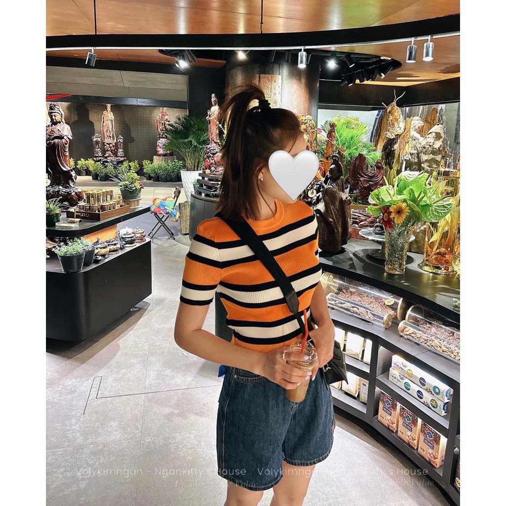 Áo len mon.te.gi sọc màu